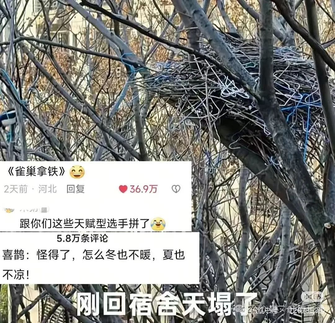 【爆笑】网恋三个月男友突然去世了...？网友：转账后会出现医学奇迹（组图） - 31