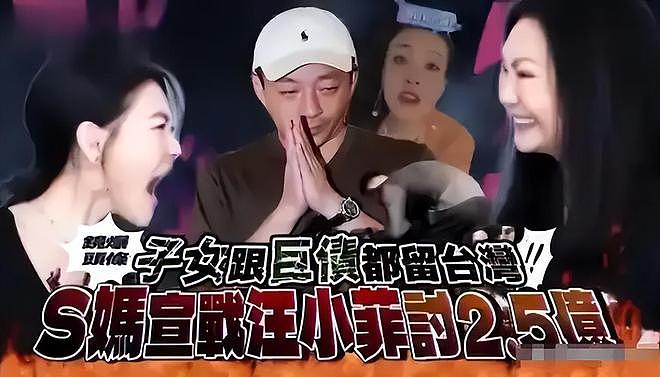 善恶终有报！小S老公或带私生子认祖归宗，网友：定是汪小菲的错（组图） - 21