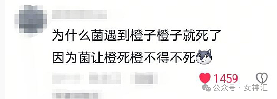 【爆笑】花10w给婚房装了个开放式厨房？网友笑疯：这和食堂有什么区别？（组图） - 30