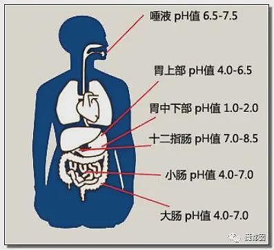 方大同猝然去世！全网愤怒扒皮素食主义骗局害死人（组图） - 85