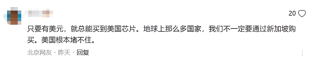 新加坡9人因向DeepSeek倒卖英伟达芯片被捕！中国网友力挺、美国坐不住了...（组图） - 9