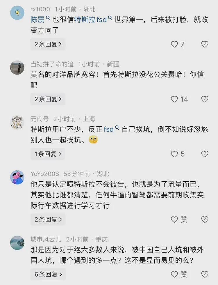 陈震：很好奇这帮人对特斯拉有那么高容忍度，换国产车早被喷死（组图） - 4