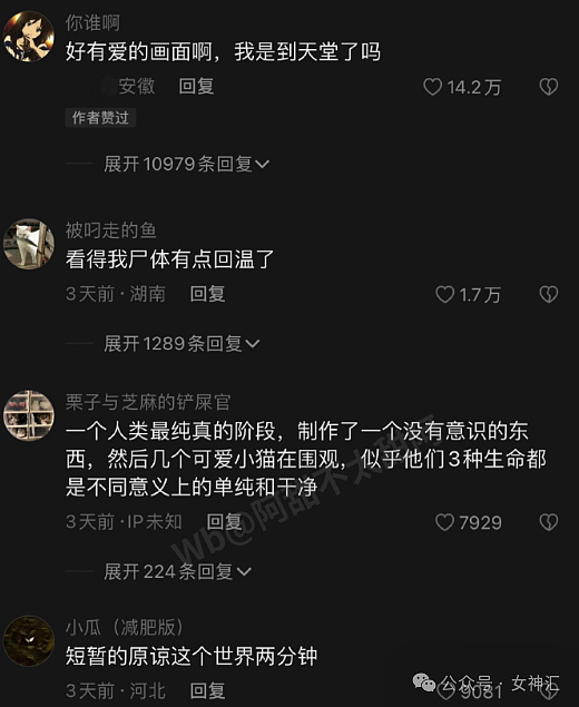 【爆笑】爱马仕出了1.2万元的狗窝，像足浴店的脚盆？网友无语：奢侈品不坑穷人（组图） - 32