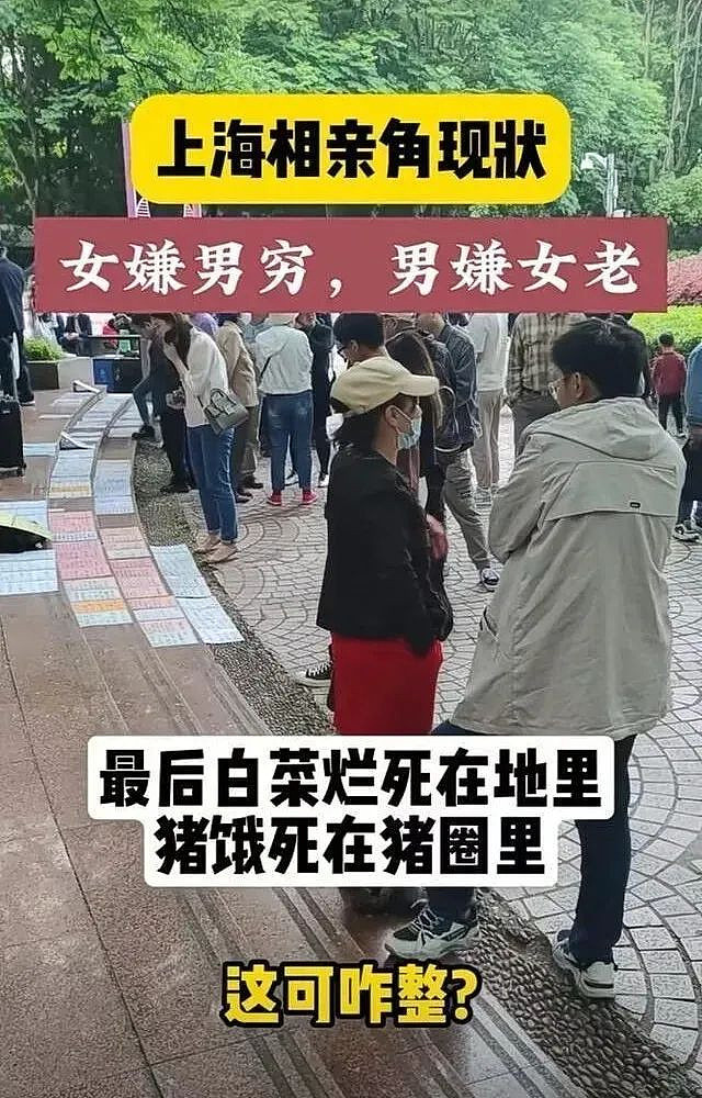 上海相亲角现状，令人叹为观止...（组图） - 6