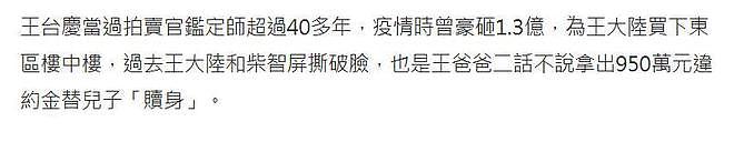 王大陆杀人未遂案升级！涉勾结黑帮放高利贷，同案嫌犯为知名富二代（组图） - 14