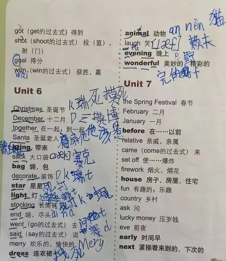 汉语的同化能力太强了！加拿大华人发明的中式单词，竟火遍海外（组图） - 6