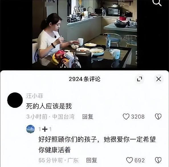 S妈算盘落空！4套豪宅留给儿女，汪小菲拿到抚养权，S家空手而归（组图） - 16