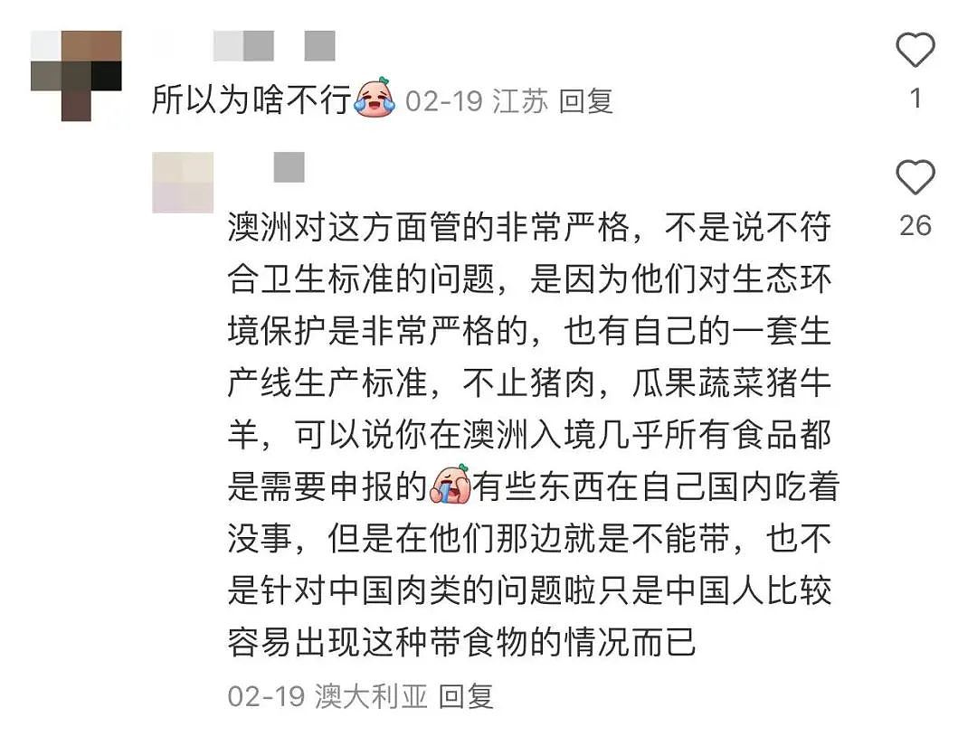 全球多家航司突发新规！这类物品禁止在飞机上使用！澳洲边境发中文警告：别带这个！违者后果严重（组图） - 9