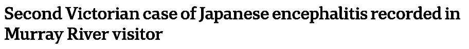 日本脑炎再次来袭！维州新增病例，蚊虫传播风险引发担忧（组图） - 1