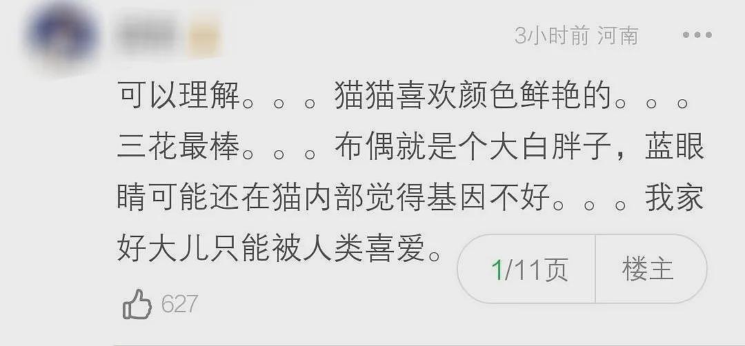 【宠物】小姐姐晒图被自家布偶猫丑笑了，网友不信，一看图：对不起，没忍住哈哈哈哈（组图） - 17