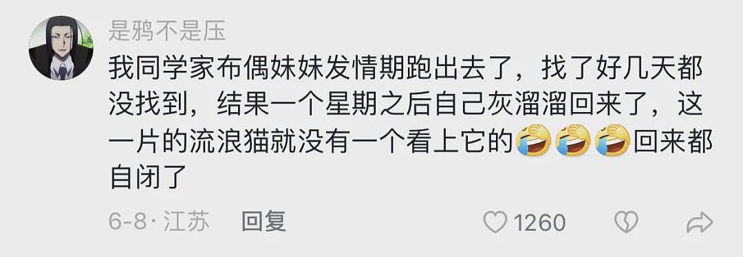 【宠物】小姐姐晒图被自家布偶猫丑笑了，网友不信，一看图：对不起，没忍住哈哈哈哈（组图） - 18