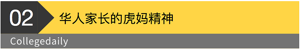 纽约失踪华人高中女生，揭露华裔家庭鸡娃的隐痛（组图） - 5