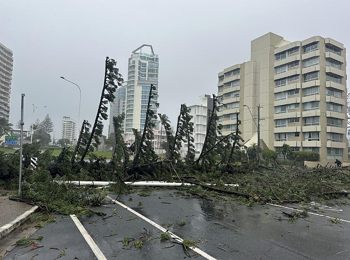 超强飓风Alfred逼近，120km/h狂风肆虐，大树连根拔起！上万民宅断电，市长警告：最糟的还在后面（组图） - 7