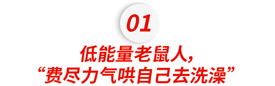 今年最让人破防的热搜！英国留子演的“老鼠人”，每一帧都像在偷窥我.....（组图） - 6