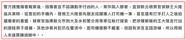 王大陆杀人了，罪魁祸首是特斯拉？（组图） - 8