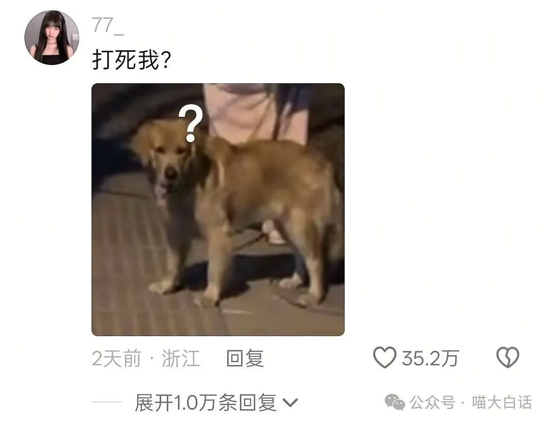 【爆笑】“男朋友以为自己要绝育？”哈哈哈哈哈那误会很大了！（组图） - 78