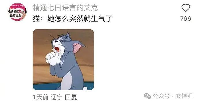 【爆笑】无意间翻了男朋友备用机相册，结果…网友建议：快跑，然后去体个检（组图） - 11