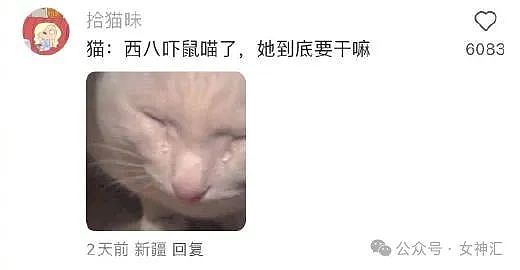 【爆笑】无意间翻了男朋友备用机相册，结果…网友建议：快跑，然后去体个检（组图） - 8