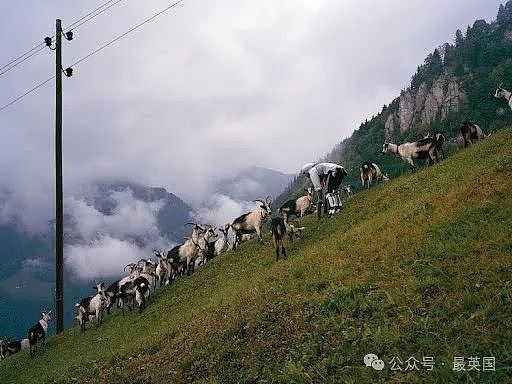 震惊！英国男子辞去“人类身份“入羊籍？在阿尔卑斯山爬行吃草六天，结局令人瞠目…（组图） - 19