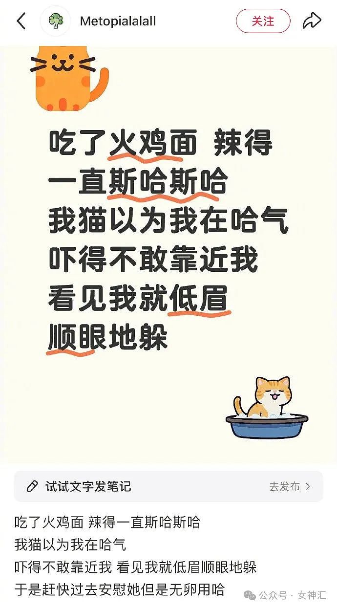 【爆笑】无意间翻了男朋友备用机相册，结果…网友建议：快跑，然后去体个检（组图） - 6