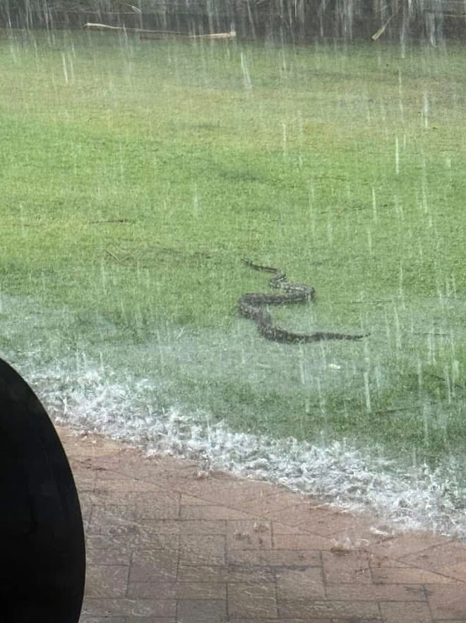 3个月的雨1天下完！昆州多地暴雨成灾，数条街道被淹洪水泛滥（组图） - 4