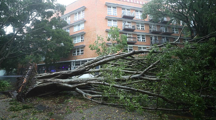 3个月的雨1天下完！昆州多地暴雨成灾，数条街道被淹洪水泛滥（组图） - 9