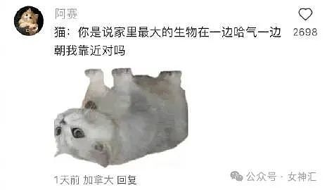 【爆笑】无意间翻了男朋友备用机相册，结果…网友建议：快跑，然后去体个检（组图） - 9