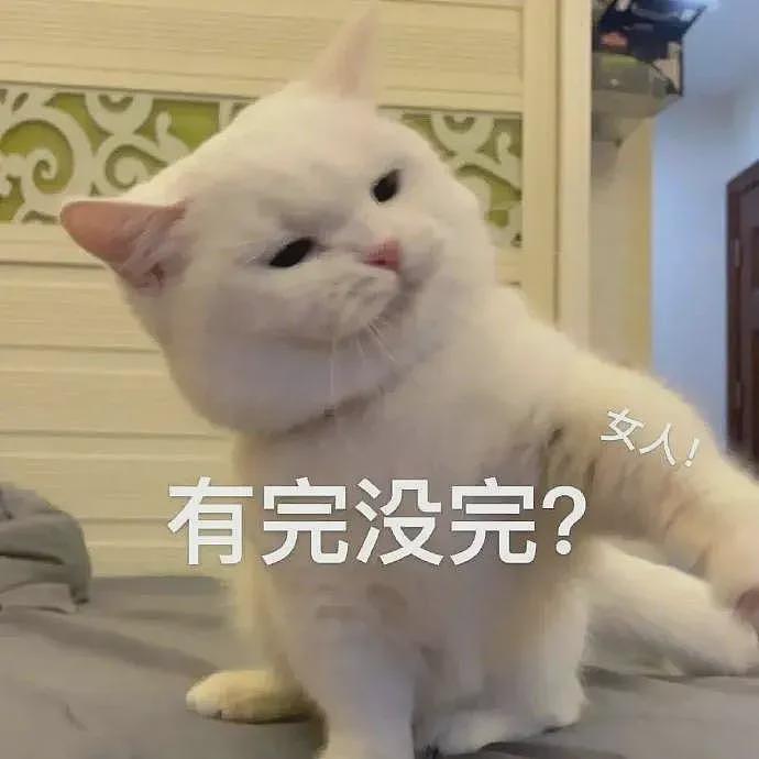 【宠物】妹子带猫绝育，嘎完后的蛋蛋医生直接丢鱼缸喂鱼？网友追着问：这鱼出吗？老补了（组图） - 21