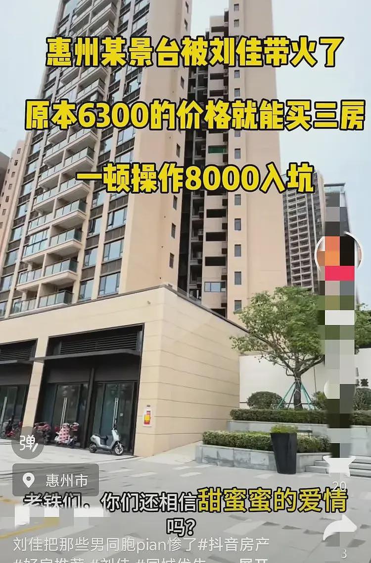 完整版！房托女神刘佳：原价6300卖36名男友8000，大量记录曝光（组图） - 3