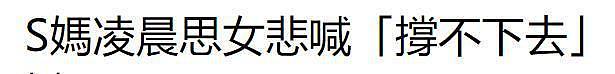 S妈凌晨再发文“撑不下去”，网友担心她想不开，希望小S能安慰她（组图） - 2