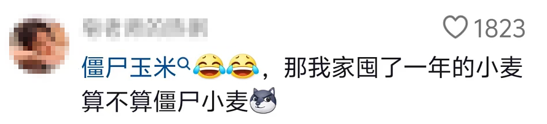 “揭秘僵尸玉米、塑料大米”传遍家庭群，年轻人辟谣却被骂“那你多吃”（组图） - 7