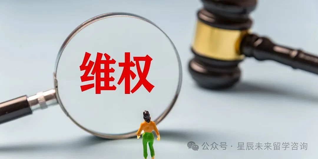 大发国难财？俄乌打仗三年养肥了一批留学中介（组图） - 13