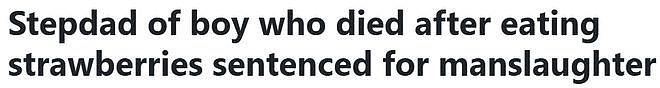 美国8岁男童疑因草莓过敏离世，调查反转揭露继父毒害真相（组图） - 1