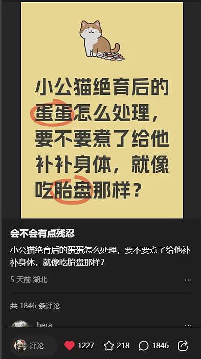 【宠物】妹子带猫绝育，嘎完后的蛋蛋医生直接丢鱼缸喂鱼？网友追着问：这鱼出吗？老补了（组图） - 22