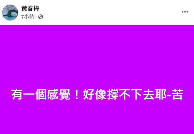 S妈凌晨再发文“撑不下去”，网友担心她想不开，希望小S能安慰她（组图） - 4