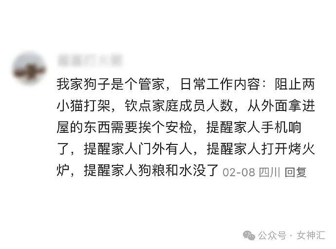 【爆笑】发现我闺蜜老公出轨了，该怎么办？网友建议：把手机掏出来录下来！（组图） - 21