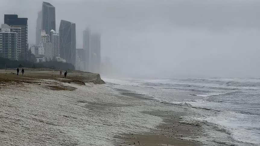 新州宣布赈灾补贴！悉尼今明仍有降雨，超7500户家庭企业断电（组图） - 6