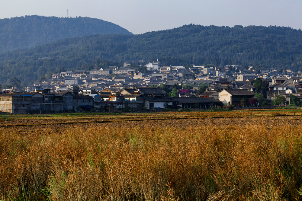 中国年轻人在北海道买别墅，日本年轻人挤进东京9㎡鸽笼（组图） - 4