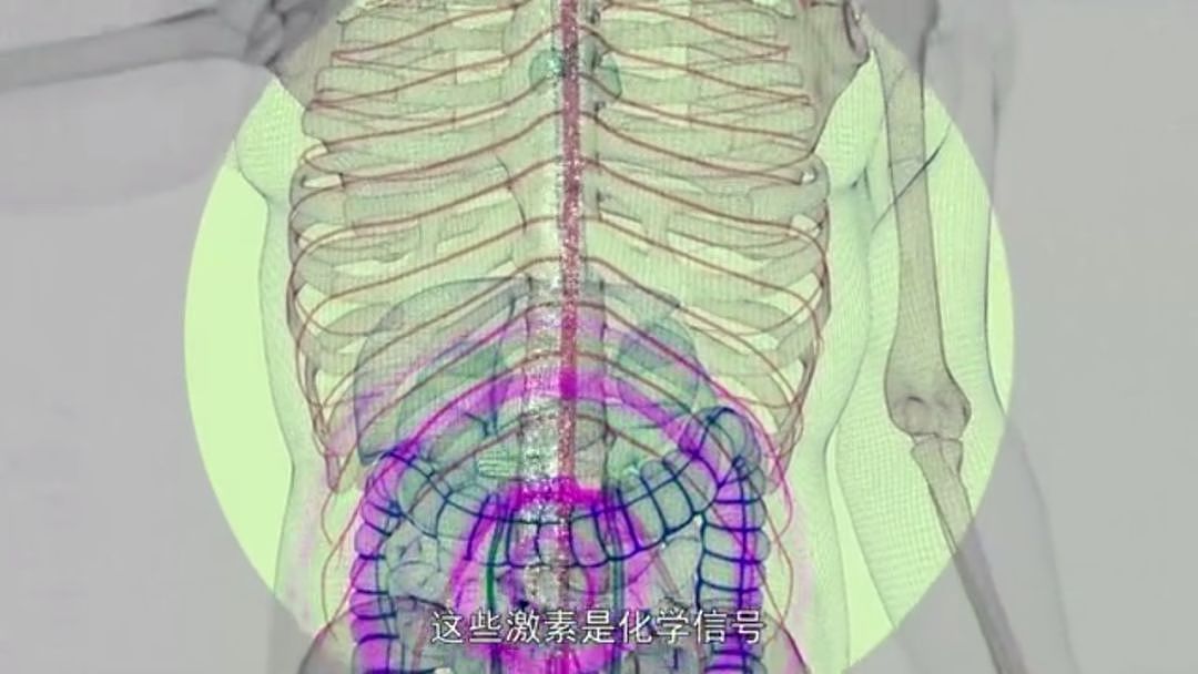 以为少吃就能瘦？BBC震三观纪录片告诉你：人胖分3种，并不都能靠节食减肥（组图） - 35