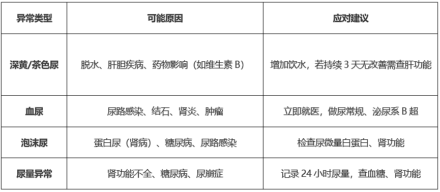 【健康】早晨第一泡尿，可能是身体在呼救！这些信号别忽略（组图） - 4