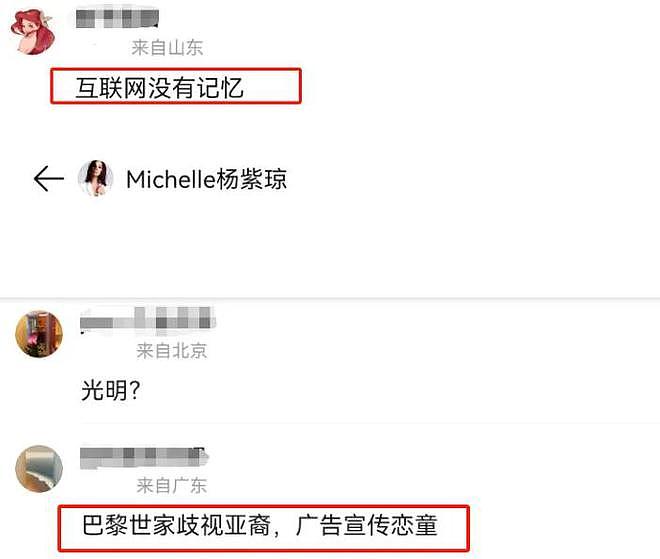 杨紫琼亮相台北说出不当言论，本人火速澄清，曾多次陷入立场争议（组图） - 13