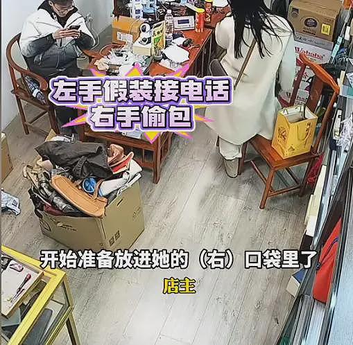 女子多次偷窃奢侈品包，落网后下跪求饶崩溃大哭，称怕影响考公（组图） - 3