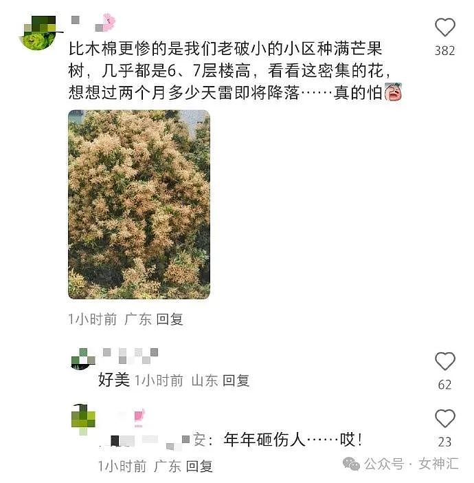 【爆笑】巴黎世家手机包售价7100元就这？网友：这是把有钱人当冤大头（视频/组图） - 32