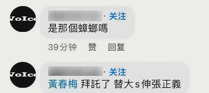 S妈葬女后火力全开！曝大S婚内被“凌虐10年”，张兰评论区沦陷（组图） - 4