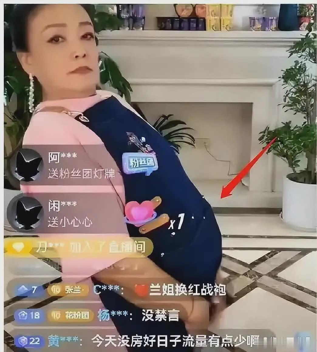 S妈葬女后火力全开！曝大S婚内被“凌虐10年”，张兰评论区沦陷（组图） - 8