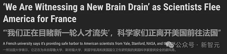 哥大博士经费被砍当场崩溃！全美高校遭史上最大规模裁员，科研圈遭灭顶之灾（组图） - 19