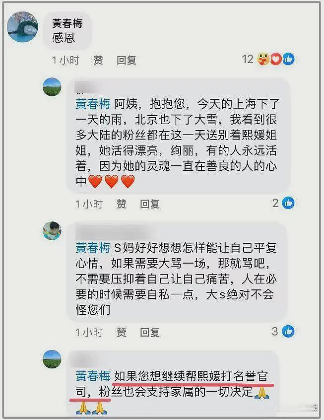 S妈葬女后火力全开！曝大S婚内被“凌虐10年”，张兰评论区沦陷（组图） - 5