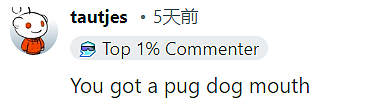 “你有一张很像哈巴狗的嘴”，18岁中国女生晒照求羞辱，网友评论字字诛心（组图） - 17