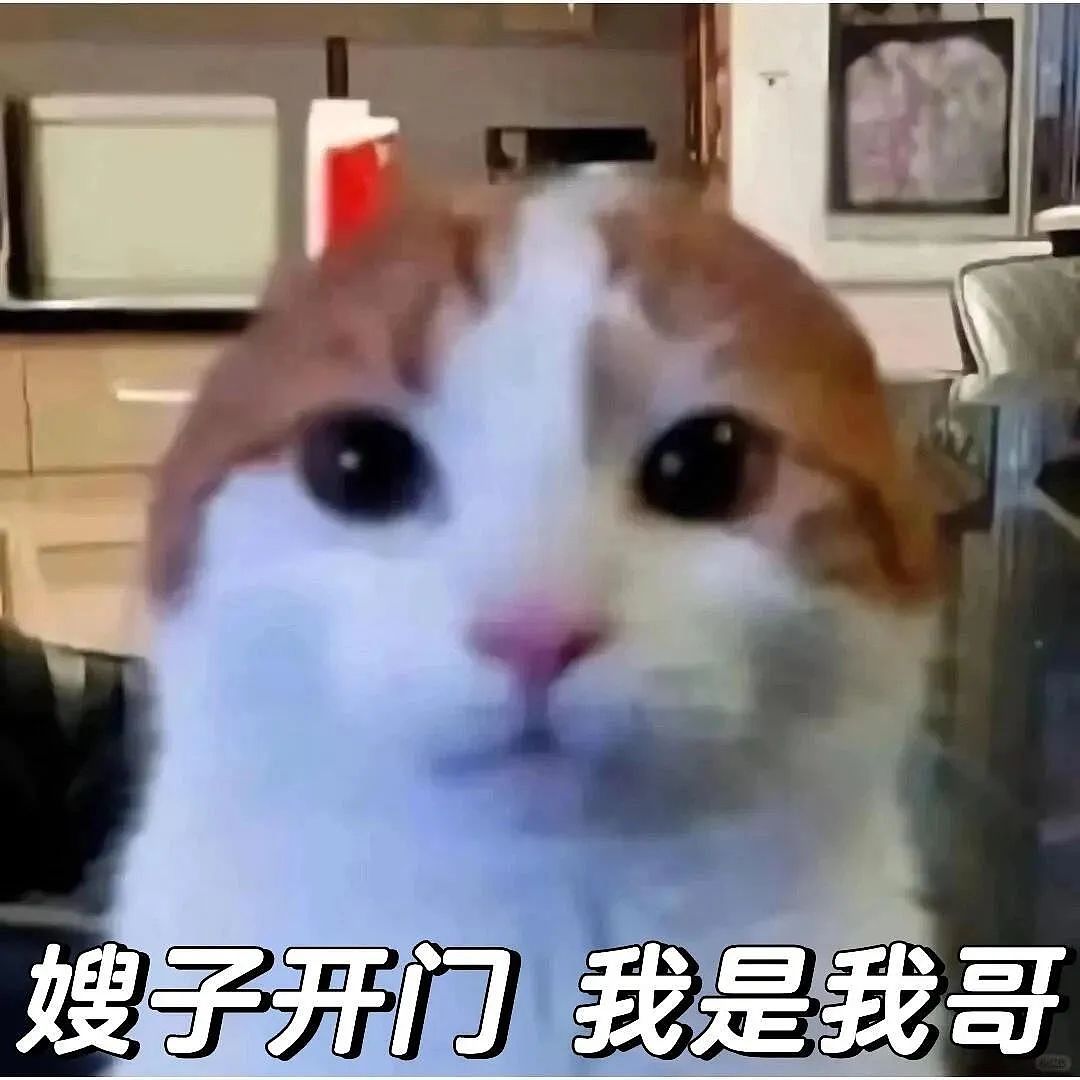 【宠物】小姐姐上门喂猫说只找到狗，主人却说那是猫！网友点进去爆笑：它怎么又猫又狗的（组图） - 1