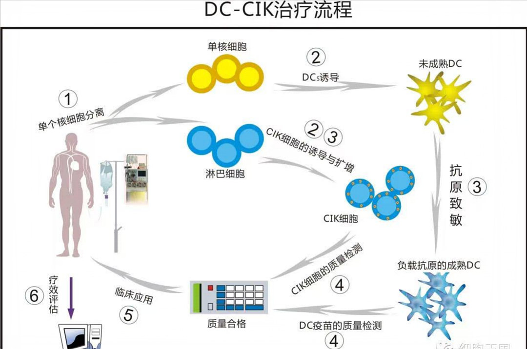 揭露细胞治疗诈骗：魏则西事件之后，收割乱象从未停止（组图） - 14